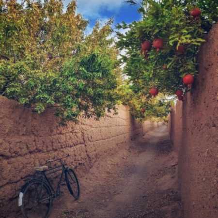 دانلود آهنگ حال مرا بد کردی تو با من لج کردی