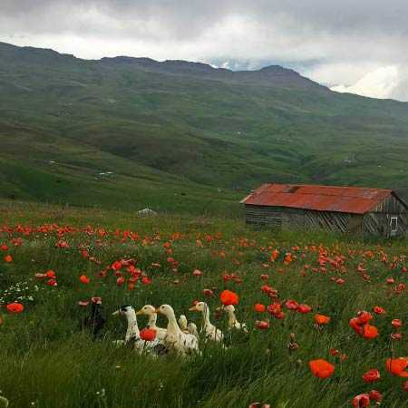 دانلود آهنگ دودی دودی دم دم اینستا ریمیکس