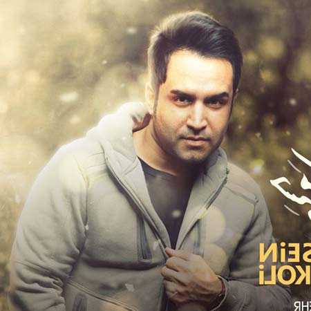 دانلود آهنگ حسم میگه حسین توکلی