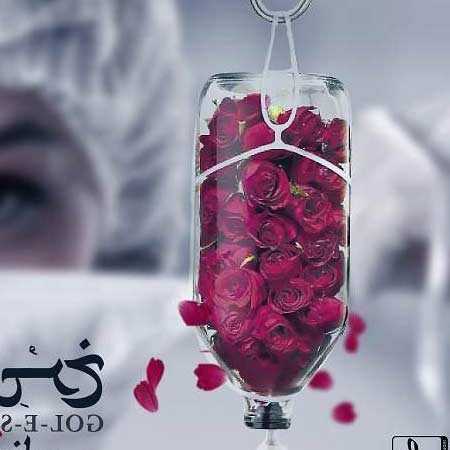 دانلود آهنگ گل سرخ امیر عظیمی دانلود آهنگ گل سرخ امیر عظیمی