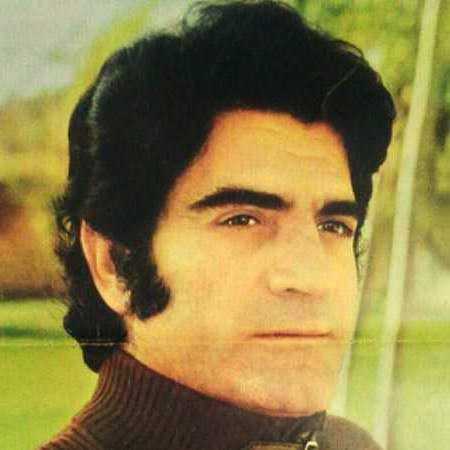 دانلود آهنگ خوشا بر آن پرستویی که پر میگیرد ویگن دانلود آهنگ خوشا بر آن پرستویی که پر میگیرد ویگن