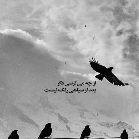 دانلود آهنگ الان بالا ابرایی میدونم از ناجی دانلود آهنگ الان بالا ابرایی میدونم از ناجی