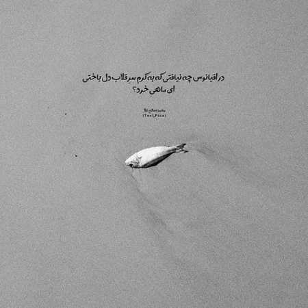 دانلود آهنگ تا ابد تو از دایان دانلود آهنگ تا ابد تو از دایان