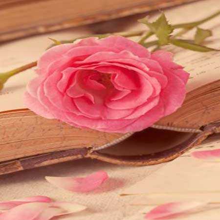 دانلود آهنگ اندی هوش مصنوعی ای یاسمن